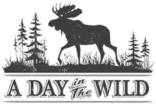 A DAY IN THE WILD logo