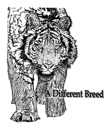 A DIFFERENT BREED logo
