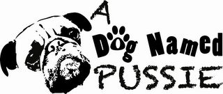 A DOG NAMED PUSSIE logo