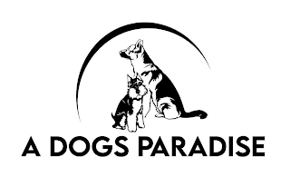 A DOGS PARADISE logo