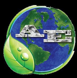 A E logo