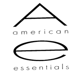 A E AMERICAN ESSENTIALS logo