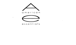 A E AMERICAN ESSENTIALS logo