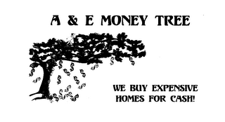 A & E MONEY TREE logo