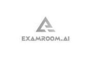A EXAMROOM.AI logo
