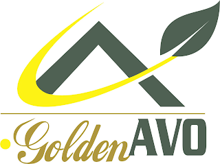 A GOLDENAVO logo