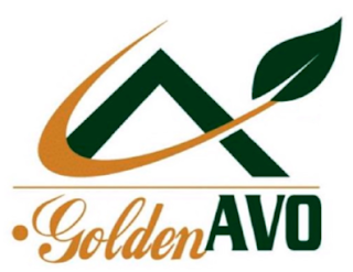 A GOLDENAVO logo