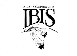 A GOLF & COUNTRY CLUB IBIS logo