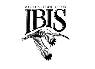 A GOLF & COUNTRY CLUB IBIS logo