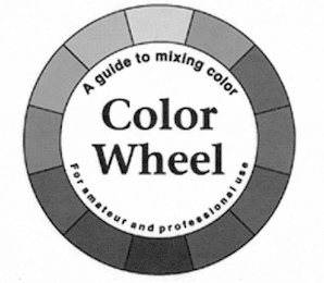 A GUIDE TO MIXING COLOR COLOR WHEEL FOR AMATEUR AND PROFESSIONAL USE logo