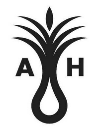 A H logo