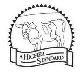A HIGHER STANDARD logo