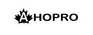 A HOPRO logo