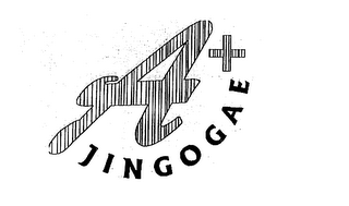 A+ JINGOGAE logo