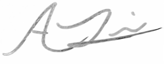 A LIPSON logo