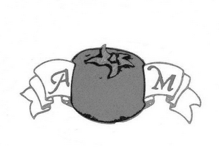 A M logo