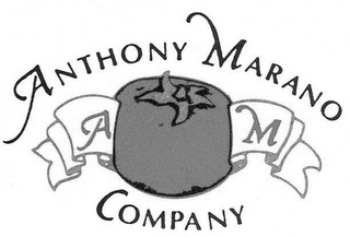A M ANTHONY MARANO COMPANY logo