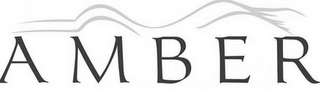 A M B E R logo