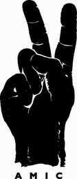 A M I C logo