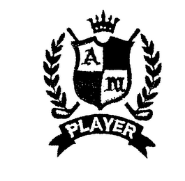A M PLAYER logo