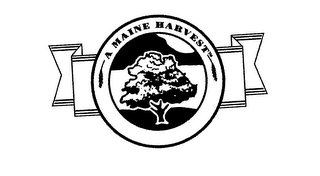 A MAINE HARVEST logo