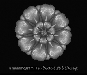 A MAMMOGRAM IS A BEAUTIFUL THING logo