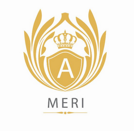 A MERI logo