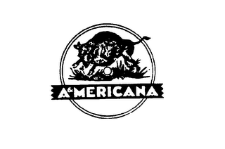 A & MERICANA logo