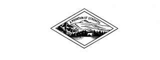 A MOUNTAIN OF STRENGTH logo