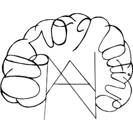 A N AFRO NATIVE logo