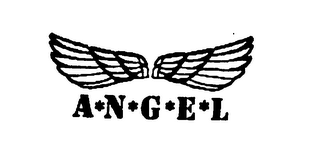 A N G E L logo