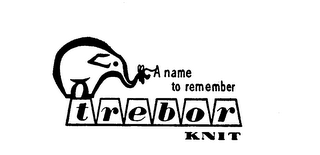 A NAME TO REMEMBER TREBOR KNIT logo