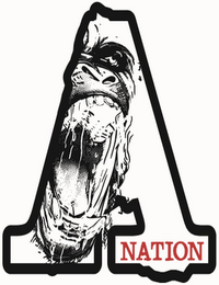 A NATION logo