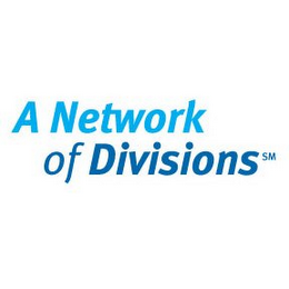 A NETWORK OF DIVISIONS logo