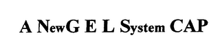 A NEWG E L SYSTEM CAP logo