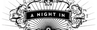 A NIGHT IN logo