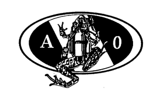 A O logo