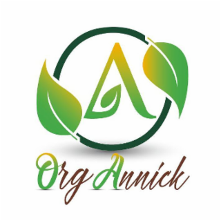 A ORGANNICK logo
