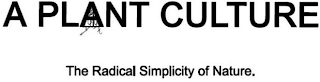 A PLANT CULTURE THE RADICAL SIMPLICITY OF NATURE. logo
