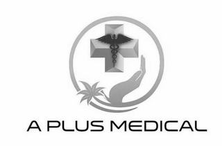 A PLUS MEDICAL logo