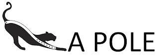 A POLE logo