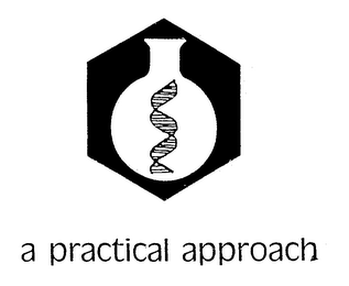 A PRACTICAL APPROACH logo