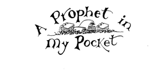 A PROPHET IN MY POCKET logo