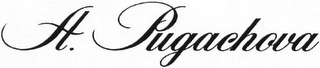 A. PUGACHOVA logo