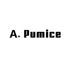 A+ PUMICE logo