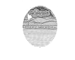 A SANTE logo
