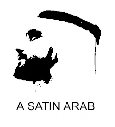 A SATIN ARAB logo