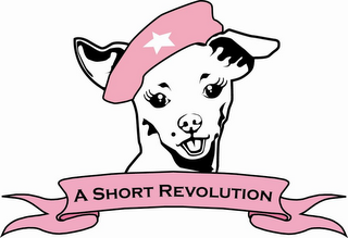 A SHORT REVOLUTION logo