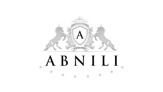 A SINCE 2023 ABNILI logo