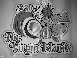 A SLICE OF THE VIRGIN ISLANDS logo